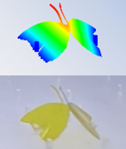Simulation and experimental image of a butterfly-shaped structure.